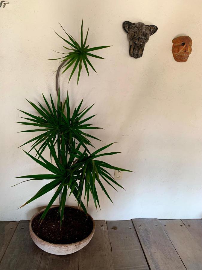 Lo Nuestro Petit Hotel Tulum Exterior photo